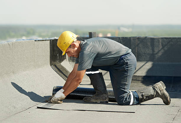 Best Insulation Contractor Near Me  in Refugio, TX