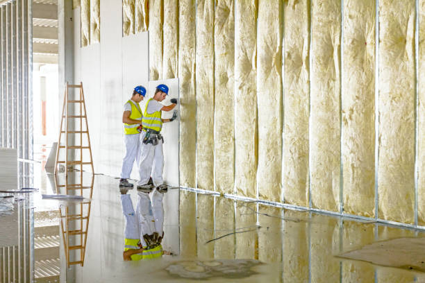 Best Soundproof Insulation Installation  in Refugio, TX